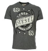 Diesel Aves Grey T-Shirt with Velour Design