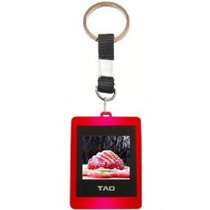 Digital Photo Album Keyring - High Resolution