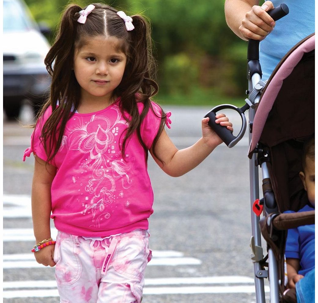 Diono Hold Me Handle 2014