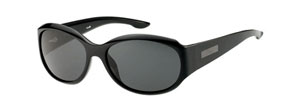Dior Celebrity2 sunglasses