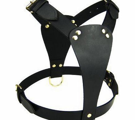Discount Pet Accessories PLAIN LEATHER DOG HARNESS STAFF STAFFY STAFFORDSHIRE ENGLISH BULL TERRIER