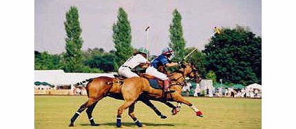 Discover Polo Experience at Ascot Park