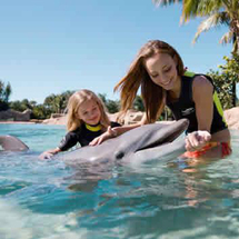 Discovery Cove ULTIMATE Package (2013) - Dolphin