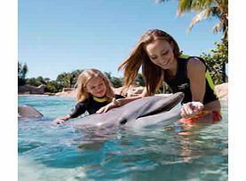 Discovery Cove ULTIMATE Package (2015) -