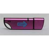 Disgo Pink USB Flash Drive 2GB