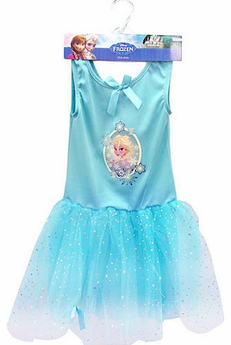 Disney Frozen Elsas Costume - Small (Age 3-4)