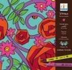 Djeco Stained Glass Windows art set - art deco gardens theme