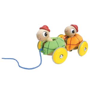 Wonderworld Pull Along Tortois