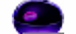 Delicious Night Eau De Parfum Spray 30ml