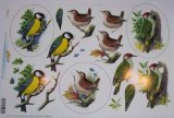 A4 sheet step by step 3D decoupage - garden birds - bluetit, wren, woodpecker