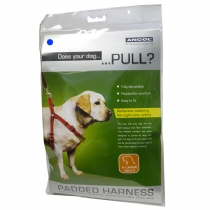 Dog Ancol Padded Nylon Harness Blue Size 1-2 : (11-14)