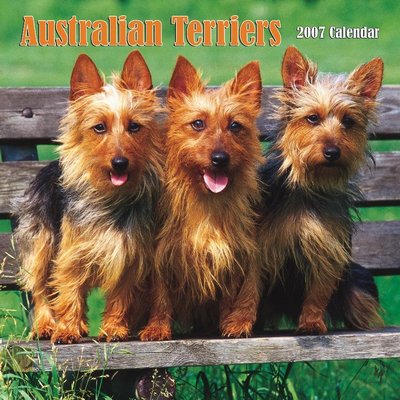 Dog Australian Terriers 2006 Calendar