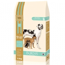Burns Adult Dog Food Fish With Maize 15Kg