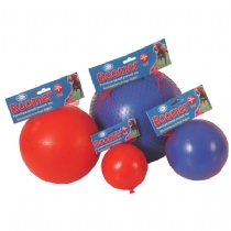 Dog Company Of Animals Boomer Ball 4