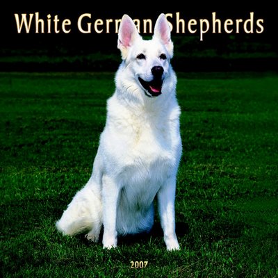 Dog German Shepherd - White 2006 Calendar