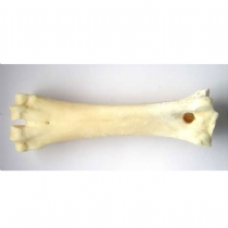 Dog Petsnack Calcium Shank Bone Box Of 15
