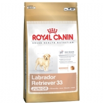 Dog Royal Canin Breed Junior Dog Food 12kg Golden