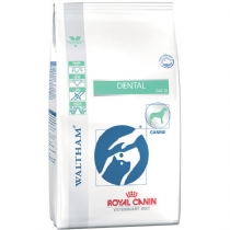 Dog Royal Canin Canine Veterinary Diet Dental Dlk 22