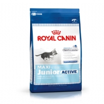 Dog Royal Canin Dog Food Maxi Junior Active 15Kg