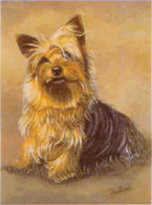 Dog Yorkshire Terrier clock