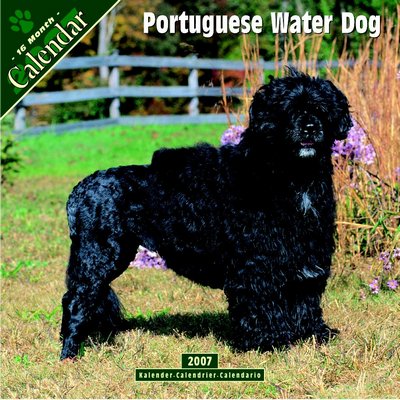 Dogs Portugese Water Dog 2006 Calendar