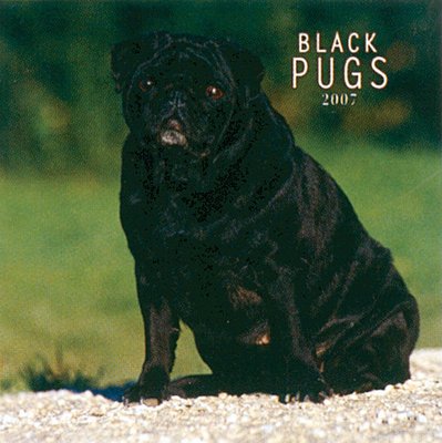 Dogs Pug - Black 2006 Calendar