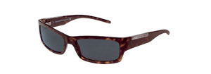 801S Sunglasses