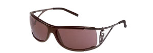 813S Sunglasses