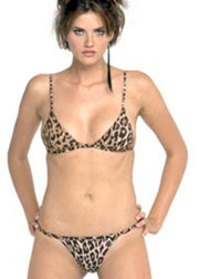 Dolce & Gabbana Animal Print triangle bikini set
