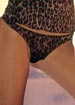 Dolce & Gabbana Intimo Animal Microfibre hipster thong
