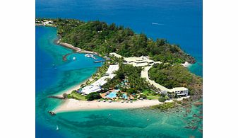 Dolphin Adventures at Tangalooma - Child