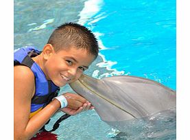 Dolphin Encounter at Six Flags Amusement Park -