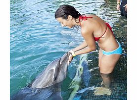 Dolphin Encounter from Montego Bay - Child