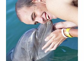 Dolphin Encounter from Ocho Rios - Child
