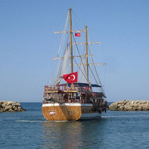 Dolphin Island Boat Trip - Adult