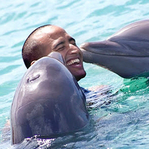 Dolphin Swim from from Montego Bay - Adult