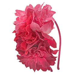 Dorothy Perkins Corsage Flower Aliceband