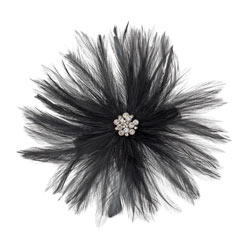 Dorothy Perkins Feather clip