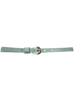 Dorothy Perkins Jade skinny snake waist belt