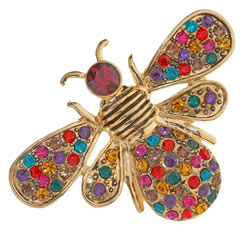 Dorothy Perkins Jewel fly brooch