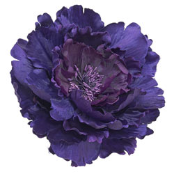 Dorothy Perkins Large Crinkle Flower Corsage