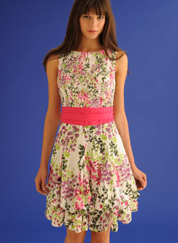Dorothy Perkins Pink floral belted dress