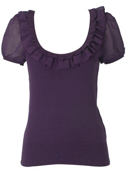 Dorothy Perkins Plum chiffon sleeve jumper
