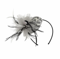 Dorothy Perkins Print fascinator