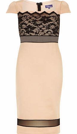 Dorothy Perkins Womens Amy Childs Lucy Midi Lace Detail Dress-