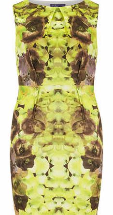 Dorothy Perkins Womens Amy Childs Sophie Lime Print Mini