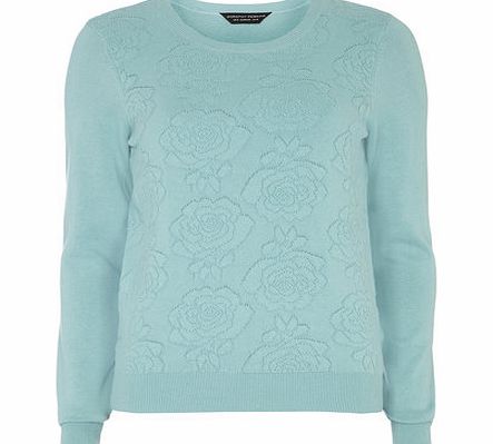 Dorothy Perkins Womens Aqua Rose Embroidered Jumper- Blue