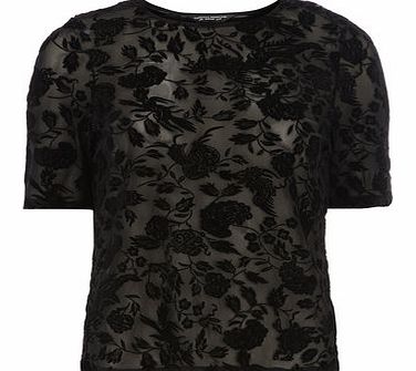 Dorothy Perkins Womens Black Flocked Mesh Tee- Black DP05468800
