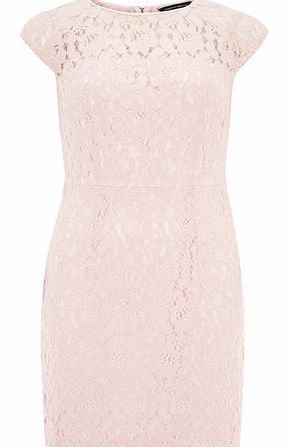 Dorothy Perkins Womens Blush Lace Pencil Dress- Blush DP07235555