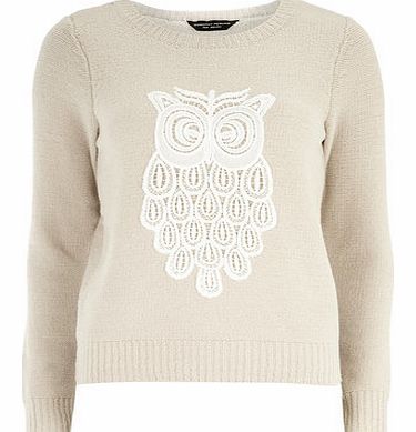 Dorothy Perkins Womens Blush Teddy Owl Jumper- Pink DP55148551